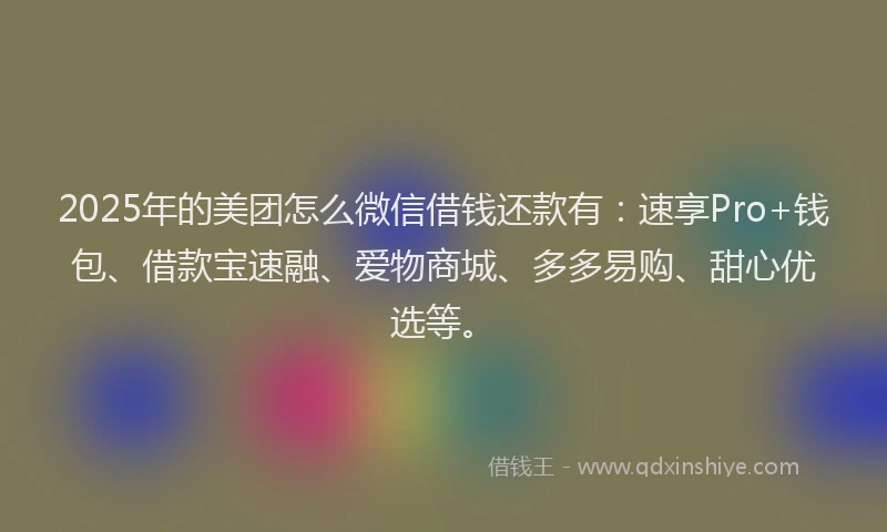 2025年的美团怎么微信借钱还款有：速享Pro+钱包、借款宝速融、爱物商城、多多易购、甜心优选等。