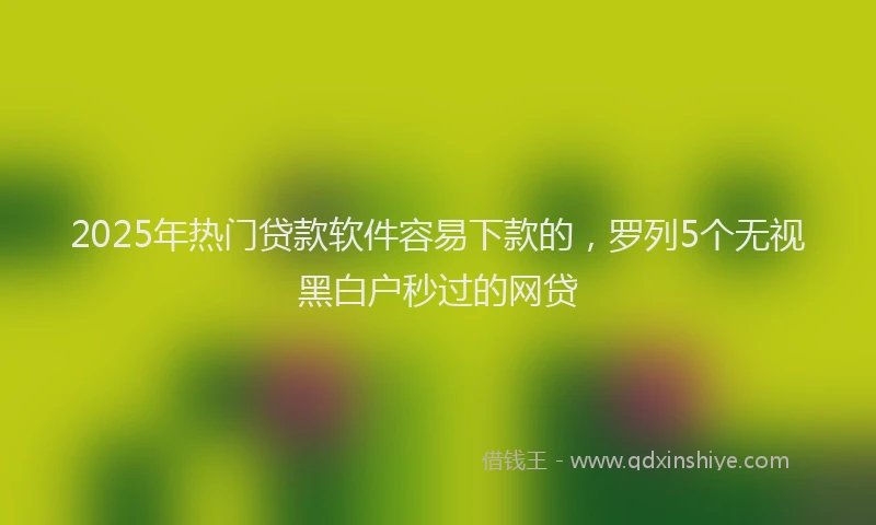 2025年热门贷款软件容易下款的，罗列5个无视黑白户秒过的网贷