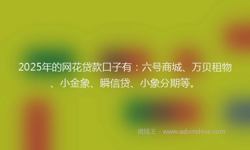 2025年的网花贷款口子有：六号商城、万贝租物、小金象、瞬信贷、小象分期等。