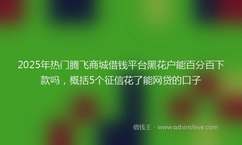 2025年热门腾飞商城借钱平台黑花户能百分百下款吗，概括5个征信花了能网贷的口子