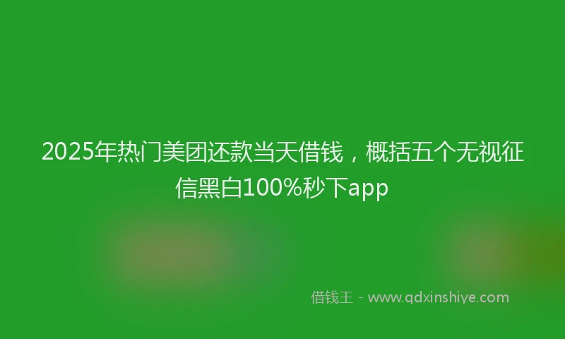2025年热门美团还款当天借钱，概括五个无视征信黑白100%秒下app