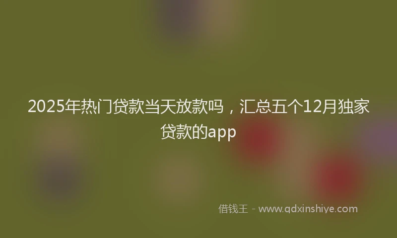 2025年热门贷款当天放款吗，汇总五个12月独家贷款的app