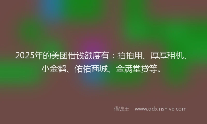 2025年的美团借钱额度有：拍拍用、厚厚租机、小金鹤、佑佑商城、金满堂贷等。