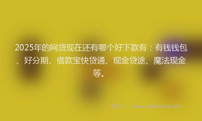 2025年的网贷现在还有哪个好下款有：有钱钱包、好分期、借款宝快贷通、现金贷途、魔法现金等。