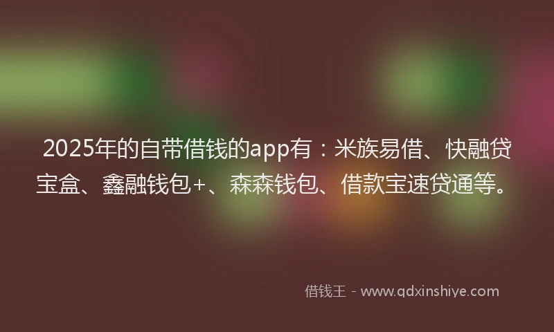 2025年的自带借钱的app有：米族易借、快融贷宝盒、鑫融钱包+、森森钱包、借款宝速贷通等。