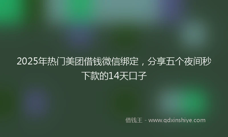 2025年热门美团借钱微信绑定，分享五个夜间秒下款的14天口子