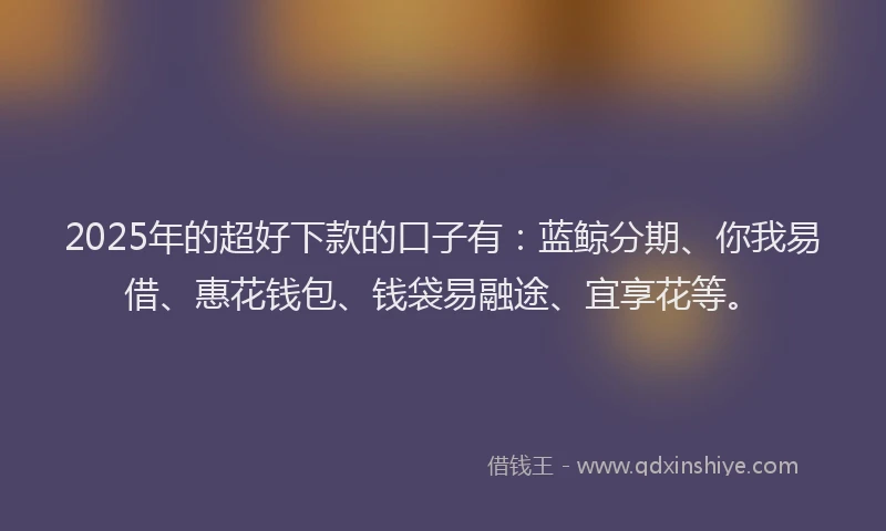 2025年的超好下款的口子有：蓝鲸分期、你我易借、惠花钱包、钱袋易融途、宜享花等。