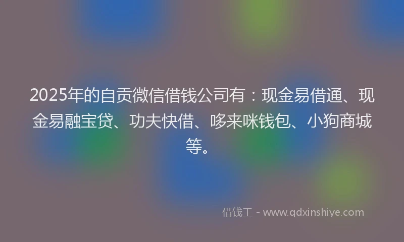 2025年的自贡微信借钱公司有：现金易借通、现金易融宝贷、功夫快借、哆来咪钱包、小狗商城等。