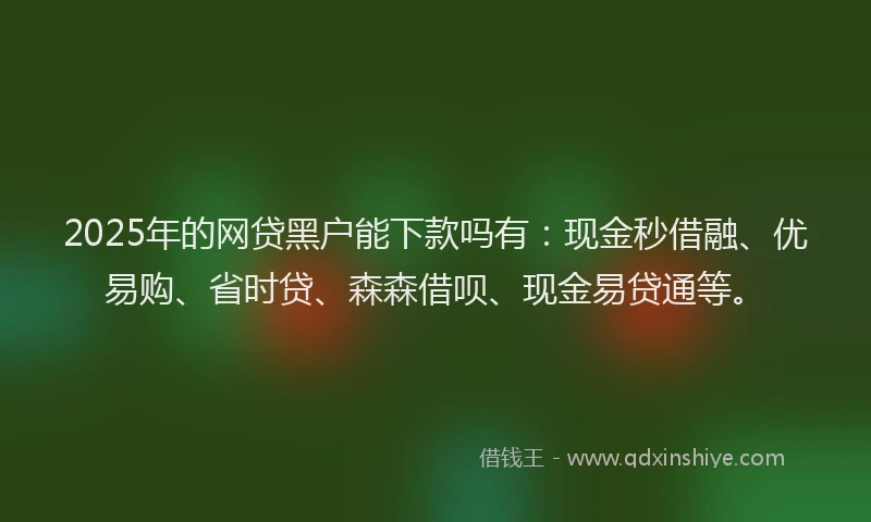 2025年的网贷黑户能下款吗有：现金秒借融、优易购、省时贷、森森借呗、现金易贷通等。