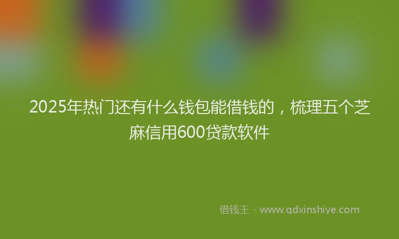 2025年热门还有什么钱包能借钱的，梳理五个芝麻信用600贷款软件