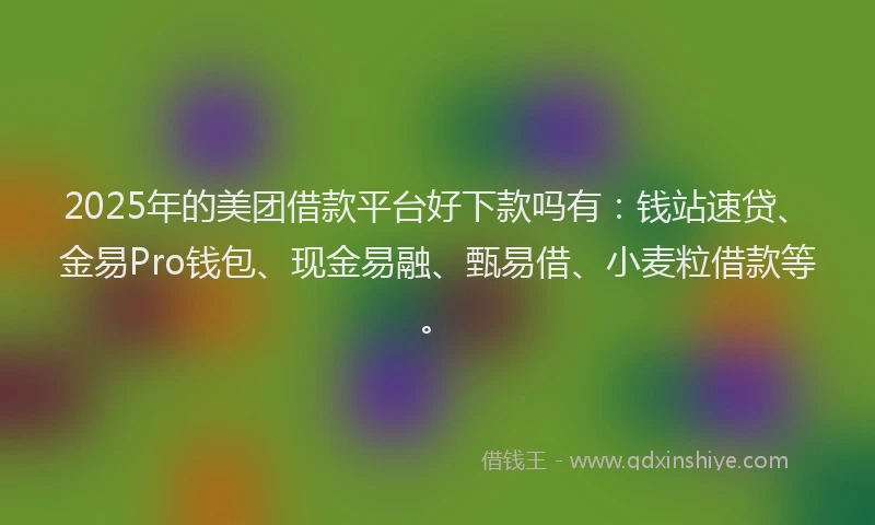 2025年的美团借款平台好下款吗有：钱站速贷、金易Pro钱包、现金易融、甄易借、小麦粒借款等。