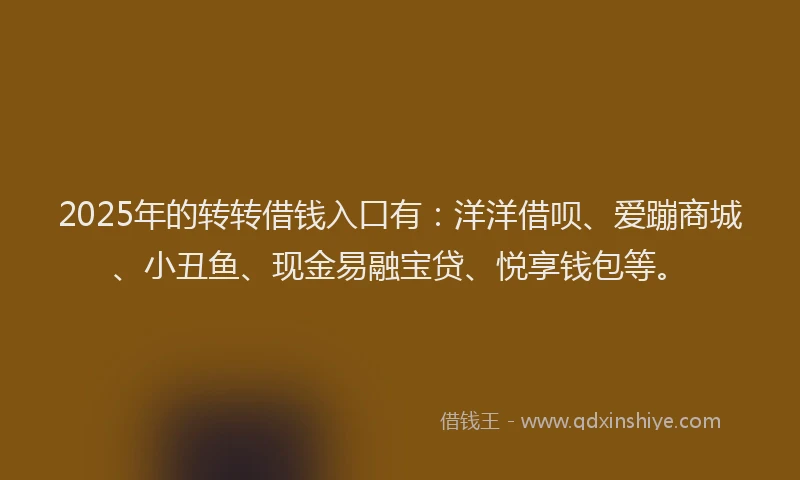 2025年的转转借钱入口有：洋洋借呗、爱蹦商城、小丑鱼、现金易融宝贷、悦享钱包等。