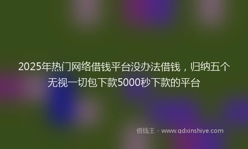 2025年热门网络借钱平台没办法借钱，归纳五个无视一切包下款5000秒下款的平台