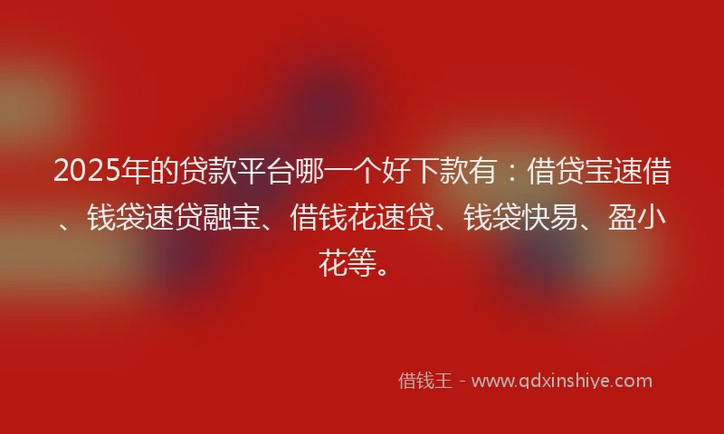 2025年的贷款平台哪一个好下款有：借贷宝速借、钱袋速贷融宝、借钱花速贷、钱袋快易、盈小花等。