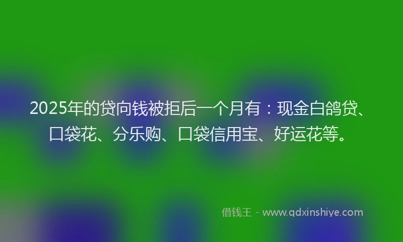 2025年的贷向钱被拒后一个月有：现金白鸽贷、口袋花、分乐购、口袋信用宝、好运花等。
