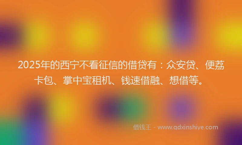 2025年的西宁不看征信的借贷有：众安贷、便荔卡包、掌中宝租机、钱速借融、想借等。
