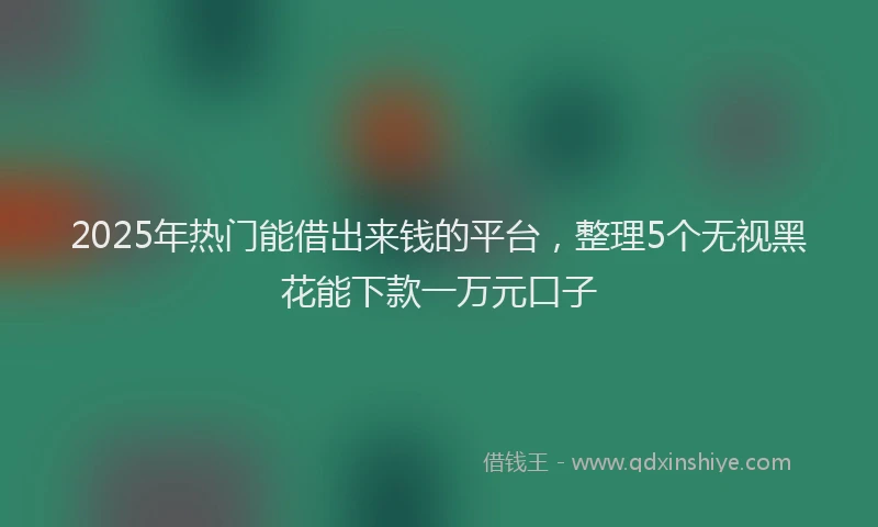 2025年热门能借出来钱的平台，整理5个无视黑花能下款一万元口子