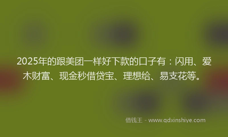 2025年的跟美团一样好下款的口子有：闪用、爱木财富、现金秒借贷宝、理想给、易支花等。