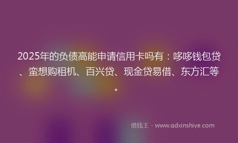 2025年的负债高能申请信用卡吗有：哆哆钱包贷、蛮想购租机、百兴贷、现金贷易借、东方汇等。