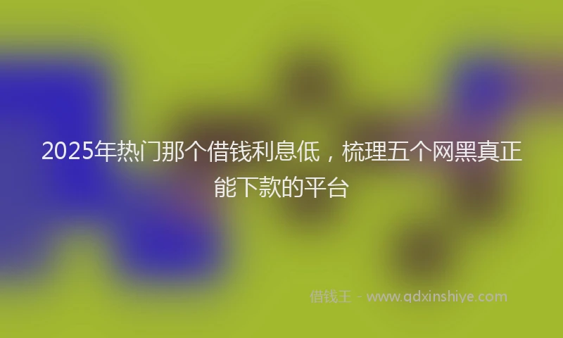 2025年热门那个借钱利息低，梳理五个网黑真正能下款的平台