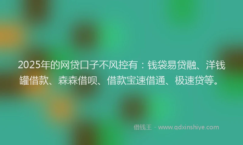 2025年的网贷口子不风控有：钱袋易贷融、洋钱罐借款、森森借呗、借款宝速借通、极速贷等。
