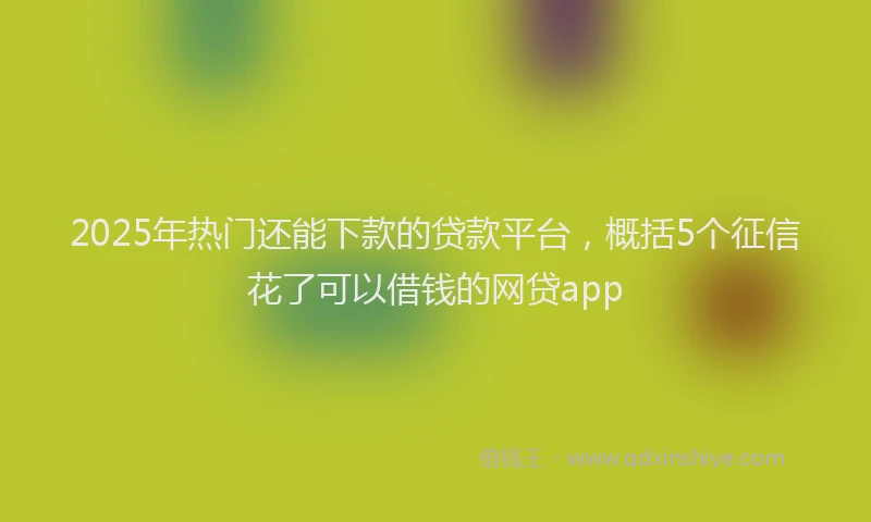 2025年热门还能下款的贷款平台，概括5个征信花了可以借钱的网贷app