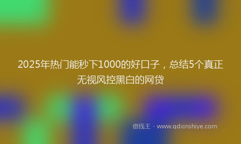 2025年热门能秒下1000的好口子，总结5个真正无视风控黑白的网贷