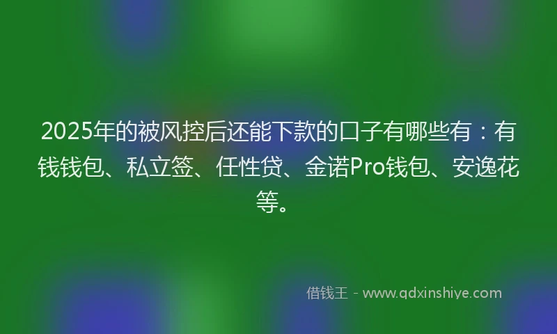 2025年的被风控后还能下款的口子有哪些有：有钱钱包、私立签、任性贷、金诺Pro钱包、安逸花等。