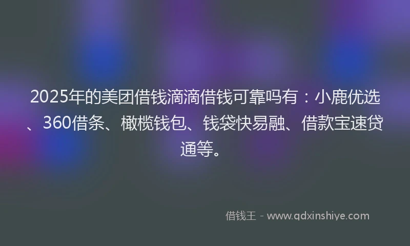 2025年的美团借钱滴滴借钱可靠吗有：小鹿优选、360借条、橄榄钱包、钱袋快易融、借款宝速贷通等。