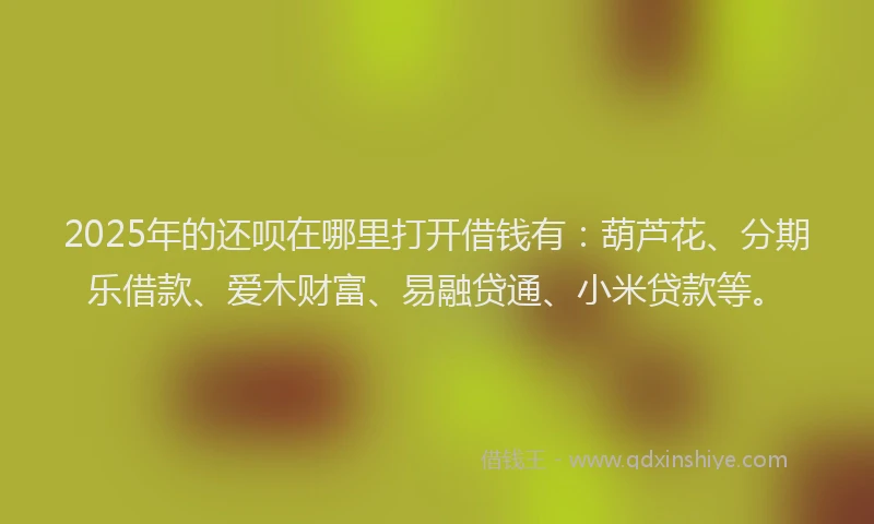 2025年的还呗在哪里打开借钱有：葫芦花、分期乐借款、爱木财富、易融贷通、小米贷款等。