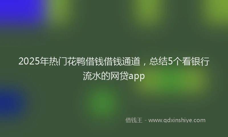 2025年热门花鸭借钱借钱通道，总结5个看银行流水的网贷app