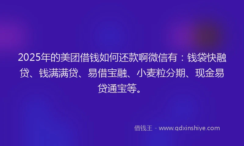 2025年的美团借钱如何还款啊微信有：钱袋快融贷、钱满满贷、易借宝融、小麦粒分期、现金易贷通宝等。
