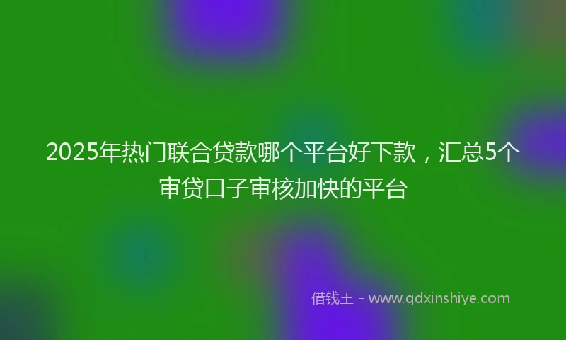 2025年热门联合贷款哪个平台好下款，汇总5个审贷口子审核加快的平台