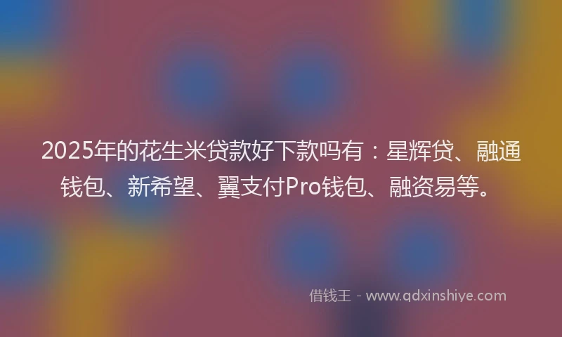 2025年的花生米贷款好下款吗有：星辉贷、融通钱包、新希望、翼支付Pro钱包、融资易等。