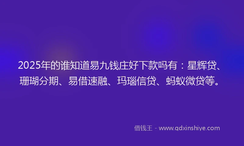 2025年的谁知道易九钱庄好下款吗有：星辉贷、珊瑚分期、易借速融、玛瑙信贷、蚂蚁微贷等。