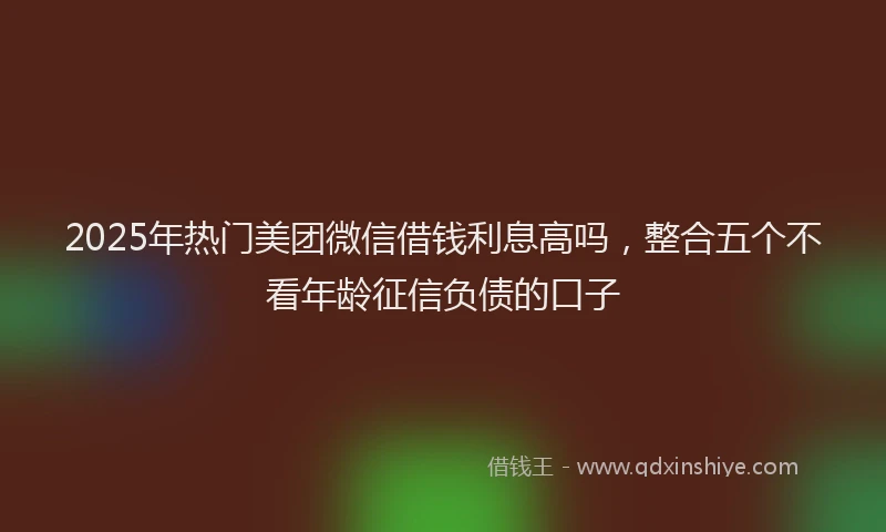 2025年热门美团微信借钱利息高吗，整合五个不看年龄征信负债的口子