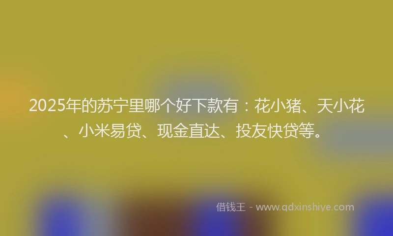 2025年的苏宁里哪个好下款有：花小猪、天小花、小米易贷、现金直达、投友快贷等。