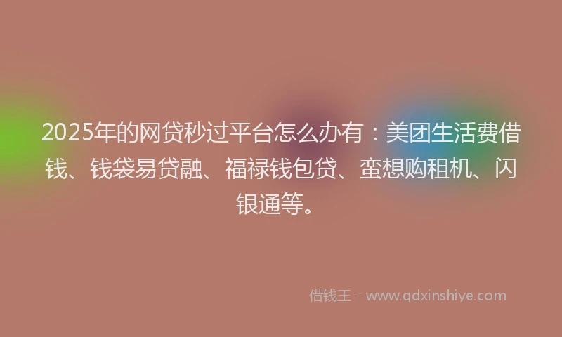 2025年的网贷秒过平台怎么办有：美团生活费借钱、钱袋易贷融、福禄钱包贷、蛮想购租机、闪银通等。