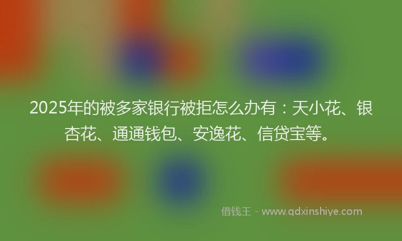 2025年的被多家银行被拒怎么办有：天小花、银杏花、通通钱包、安逸花、信贷宝等。