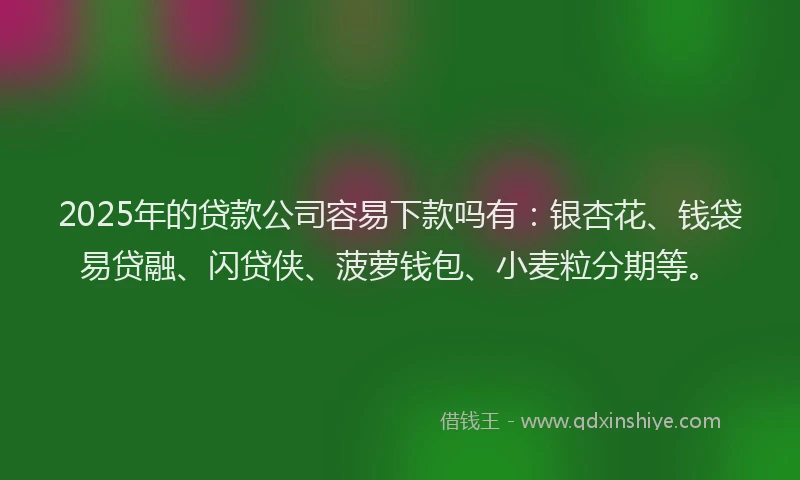 2025年的贷款公司容易下款吗有：银杏花、钱袋易贷融、闪贷侠、菠萝钱包、小麦粒分期等。