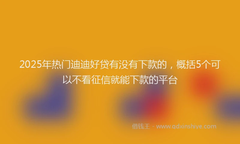 2025年热门迪迪好贷有没有下款的，概括5个可以不看征信就能下款的平台
