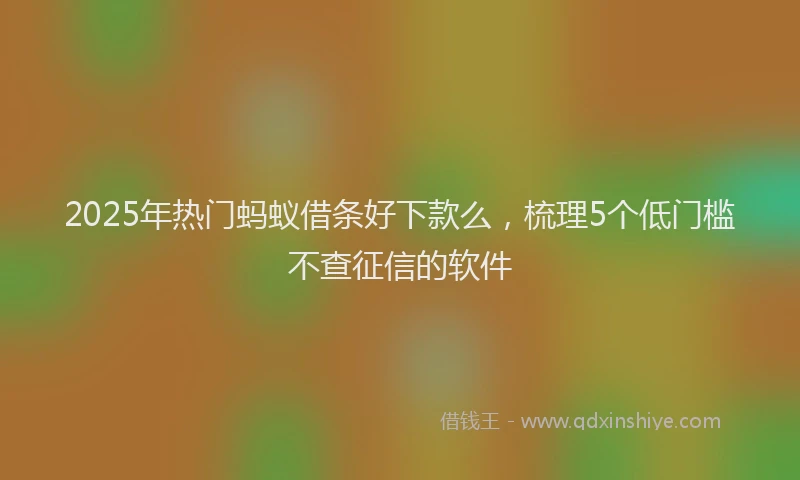 2025年热门蚂蚁借条好下款么，梳理5个低门槛不查征信的软件