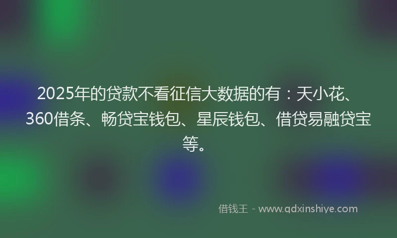 2025年的贷款不看征信大数据的有：天小花、360借条、畅贷宝钱包、星辰钱包、借贷易融贷宝等。