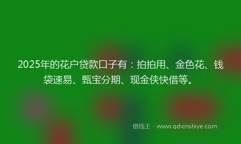 2025年的花户贷款口子有：拍拍用、金色花、钱袋速易、甄宝分期、现金侠快借等。