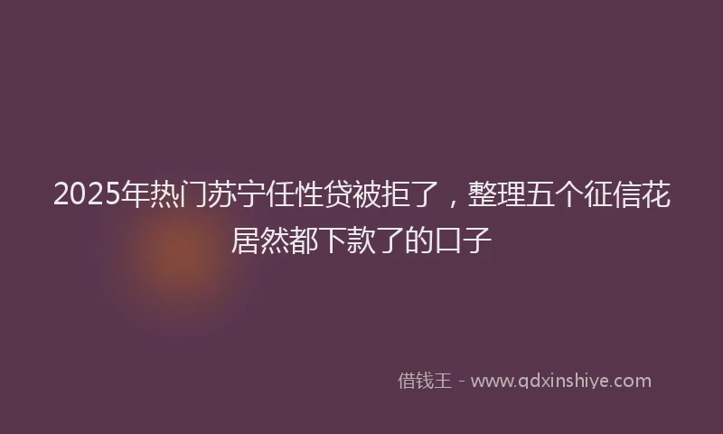 2025年热门苏宁任性贷被拒了，整理五个征信花居然都下款了的口子