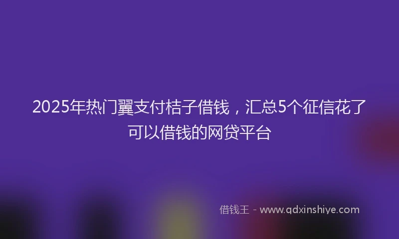 2025年热门翼支付桔子借钱，汇总5个征信花了可以借钱的网贷平台