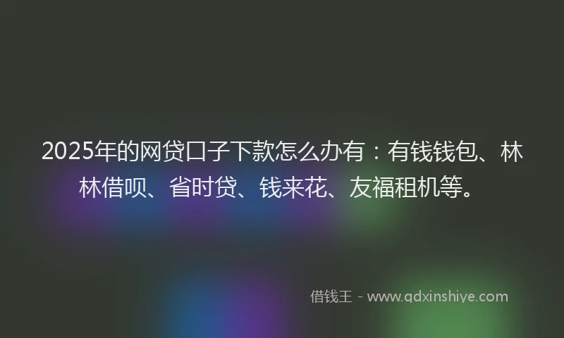 2025年的网贷口子下款怎么办有：有钱钱包、林林借呗、省时贷、钱来花、友福租机等。