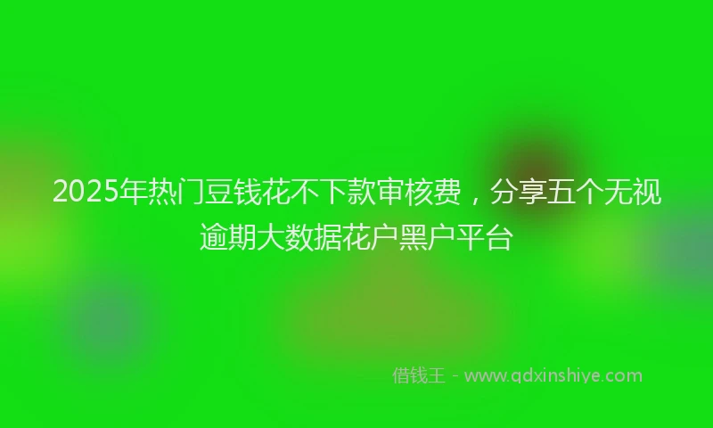 2025年热门豆钱花不下款审核费，分享五个无视逾期大数据花户黑户平台