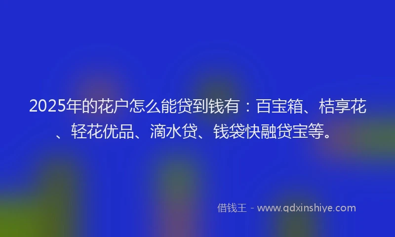 2025年的花户怎么能贷到钱有：百宝箱、桔享花、轻花优品、滴水贷、钱袋快融贷宝等。