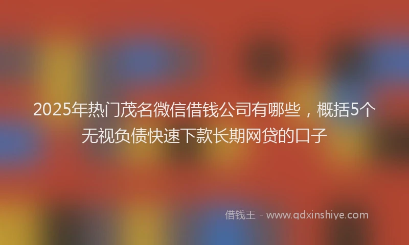 2025年热门茂名微信借钱公司有哪些，概括5个无视负债快速下款长期网贷的口子